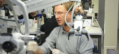 Frühjahrsakademie der DGEndo an der Universitätspoliklinik für Zahnerhaltungskunde und Parodontologie der Martin-Luther-Universität Halle-Wittenberg