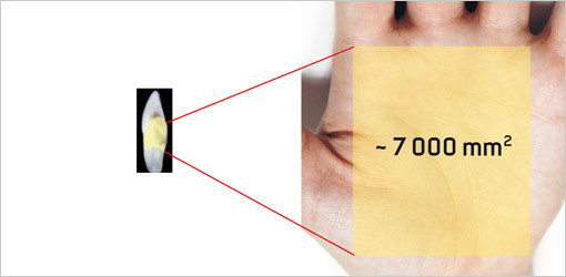 Air-Flow kills Biofilm