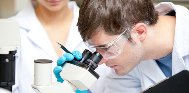 Medizin soll von neuartigen Biomaterialien profitieren