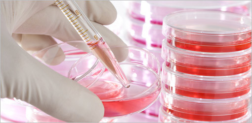 Lactobacillus Reuteri Prodentis wirksam bei der Behandlung von Parodontose