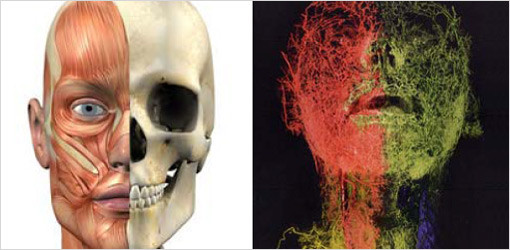 Sonderausstellung: Die verschiedenen Gesichter des Gesichts