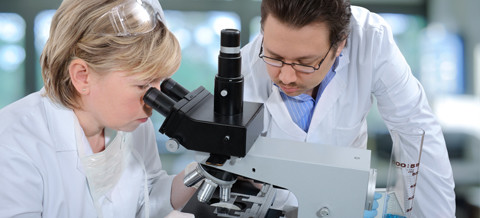 Nachwachsender Zahnersatz - bei Mäusen schon machbar