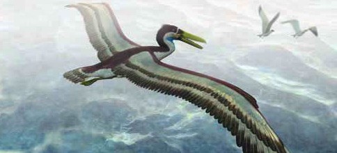 Riesige Vögel mit knöchernen "Zähnen" über Südengland