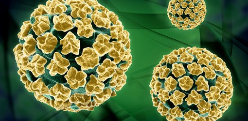 Tumor durch Papillomavirus: Gute Heilungschancen