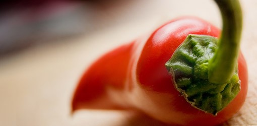 Chili weist Schmerzforschern den Weg