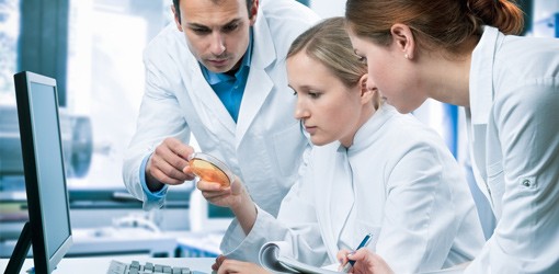 Pilotstudie: Teriparatid gegen Parodontitis