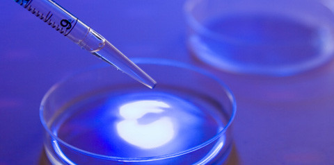 Plasma trifft Medizin - Chancen und Perspektiven