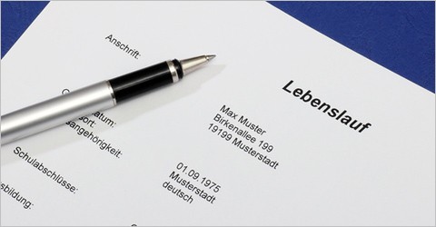 Monatstipp Januar 2011: Jobchancen durch optimalen Lebenslauf