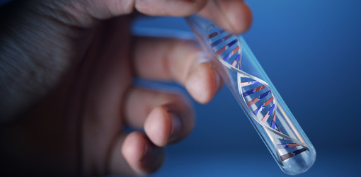 Gen bringt Zähne in Form