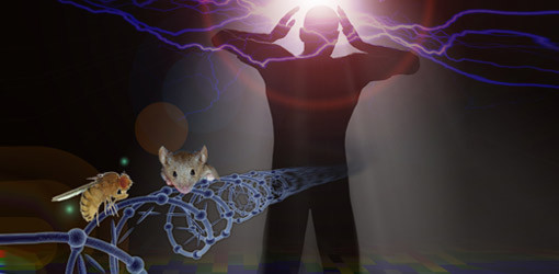 Welche Farbe hat der Schmerz?