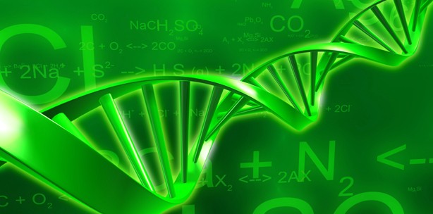Adenoid-zystischen Karzinom: Wachstum molekular untersucht