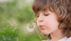 Durch Zähneputzen Allergien bekämpfen