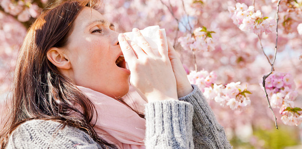 Neue Analysemethode lässt Allergiker hoffen