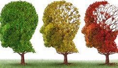 Speicheltest soll frühzeitig vor Alzheimer warnen
