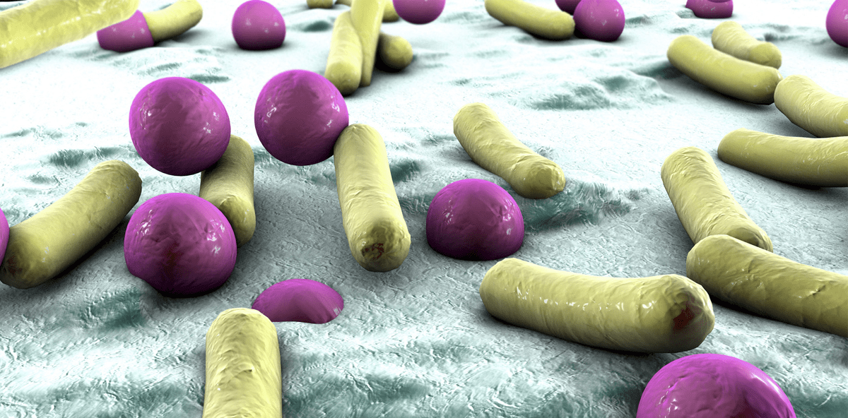 Implantate mit antibakterieller Beschichtung entwickelt