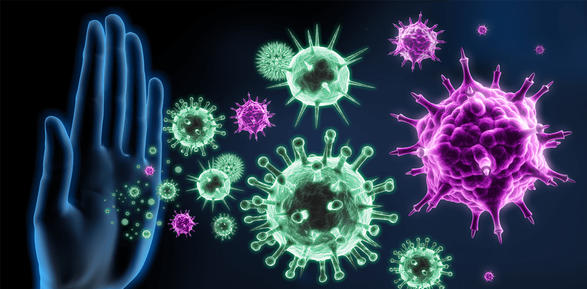 Helmholtz-Forscher entwickeln Alternative zu Antibiotika