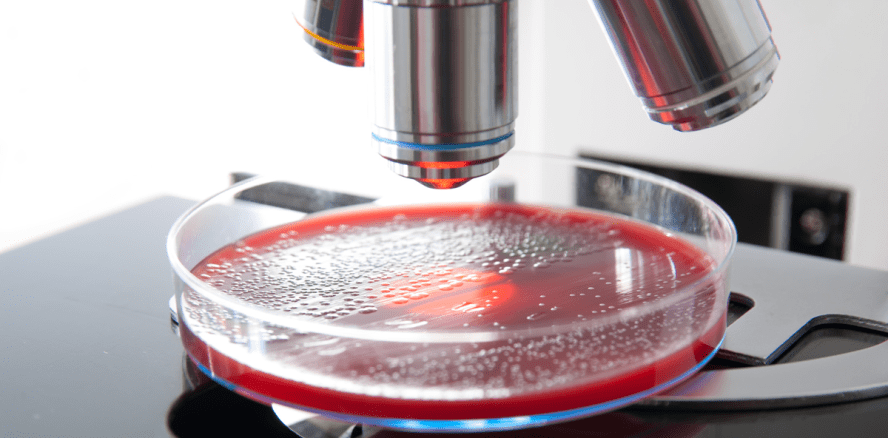 Antibiotika machen resistente Bakterien fit