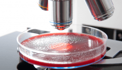 Antibiotika machen resistente Bakterien fit