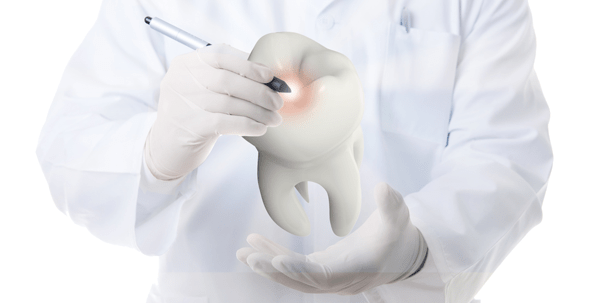 Charité lädt zur „Ausbildung für Ausbilder – ENDODONTIE“ ein