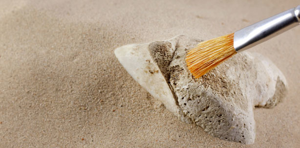 Zwergdinosaurier mit Vampirzähnen ausgegraben