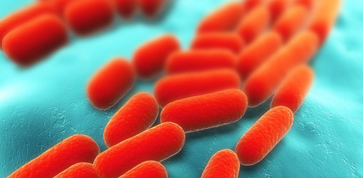 Lachgas und Stickoxid aus dem Mund