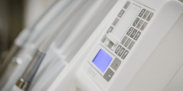 Auch Bären müssen mal zum Zahnarzt