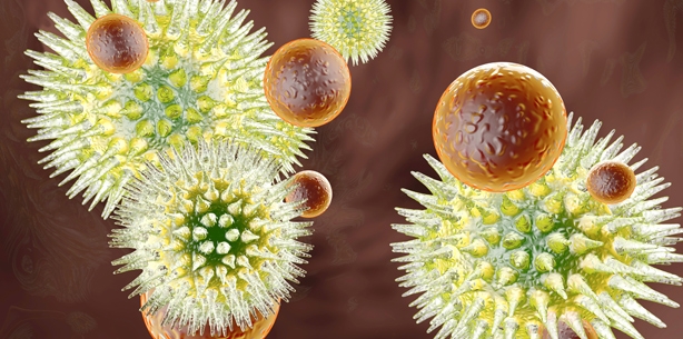 Bakterien täuschen Immunsystem mit Tarnkappe