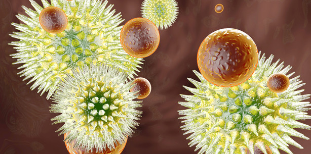 Bakterien täuschen Immunsystem mit Tarnkappe