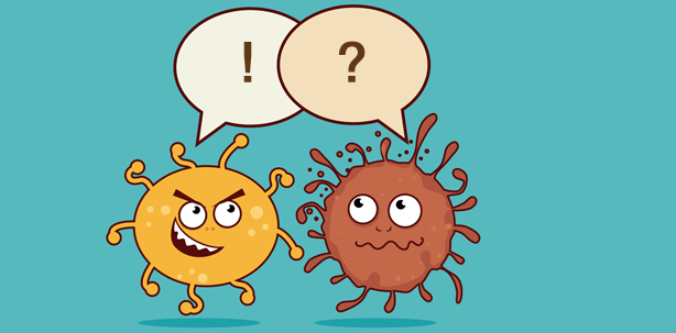 Intelligente Bakterien: Social Networking im Biofilm