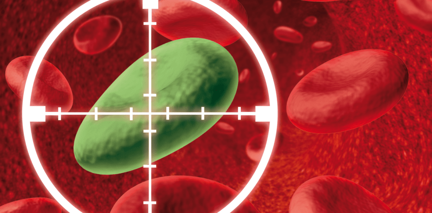 Neuartige Mikrobe im Kampf gegen Karies entdeckt