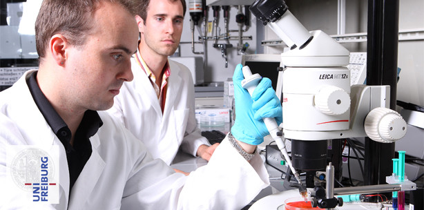 Das Bakterium in der Laser-Falle