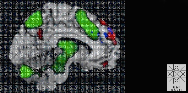 Basler Forscher entdecken Gedächtnismolekül
