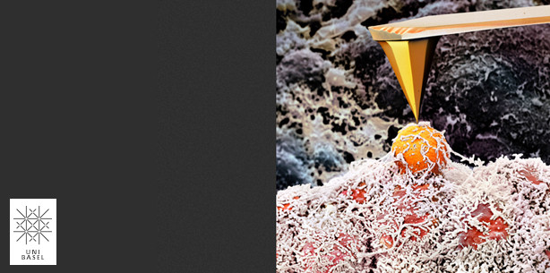 Die Gefährlichkeit von Krebs «ertasten»