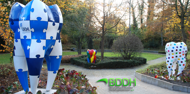 Kostenloses DH-Update 2015 für Verbandsmitglieder