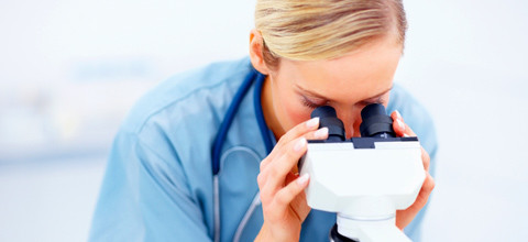 Wissenschaftler identifizieren das Gen, welches für die Produktion von Zahnschmelz verantwortlich ist