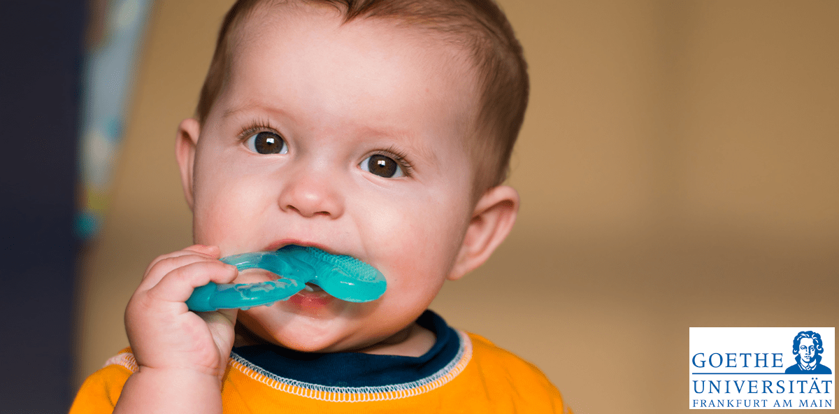 Achtung, schädlich! Umwelthormone im Babybeißring