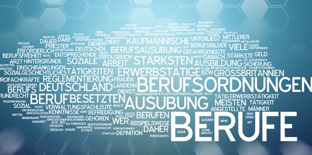 Kammern – Bürokratien ohne echte Funktion