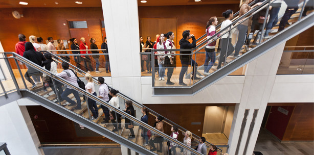 Ausgebremst: Zu viele Bewerber für das Zahnmedizinstudium