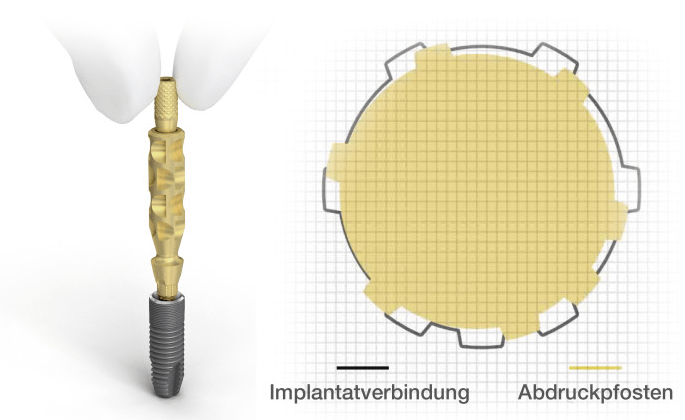 EVolution durch Wissenschaft: Einfach – ohne Kompromisse