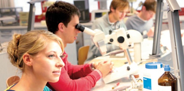 Bildungszentrum für Zahntechnik
