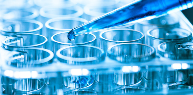 Biofilm hat individuellen „Fingerabdruck“