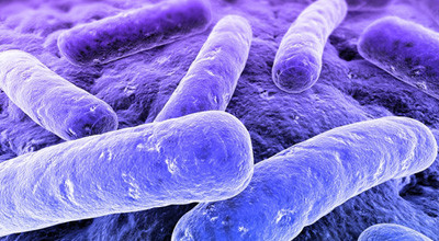 Strategien gegen Erkrankungen durch den "Biofilm"