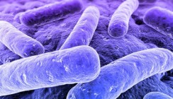 Strategien gegen Erkrankungen durch den "Biofilm"