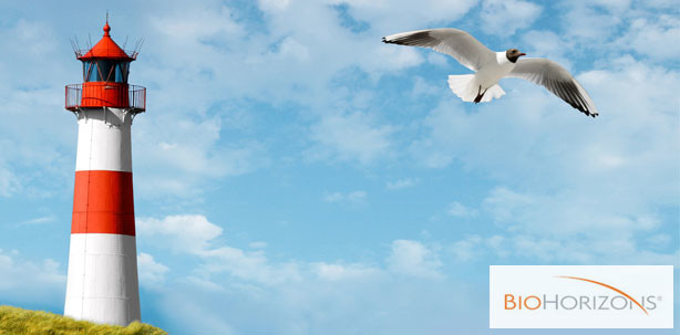 Die „4. Neuen Sylter Horizonte 2014“ sind in Sichtweite