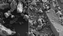 Biowachspartikel als Alternative zu Mikroplastik