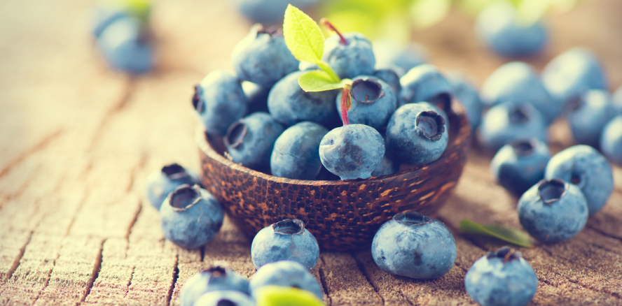 Mit Blaubeeren gegen Gingivitis