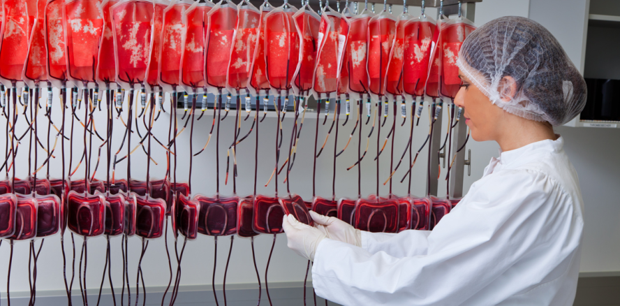 Briten planen erste Transfusion mit synthetischem Blut