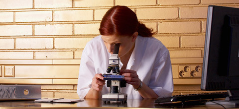 Mikrobiologie der Parodontitis