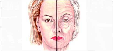 Neue Schönheitsformel fürs perfekte Gesicht