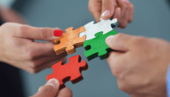 CADfirst übernimmt Software Support für DWOS Lava™ Edition